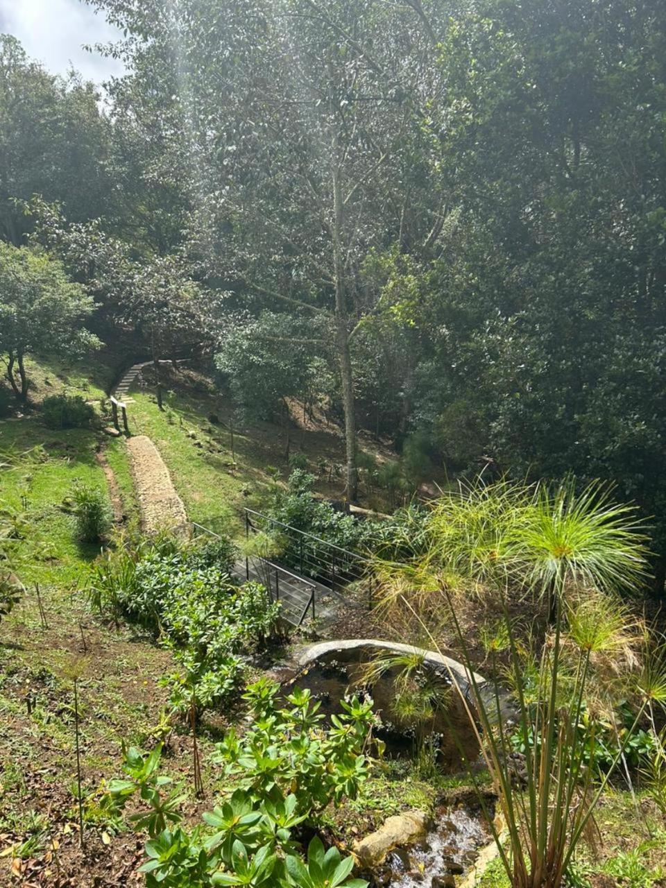 Curuba Lodge Copey Exterior foto