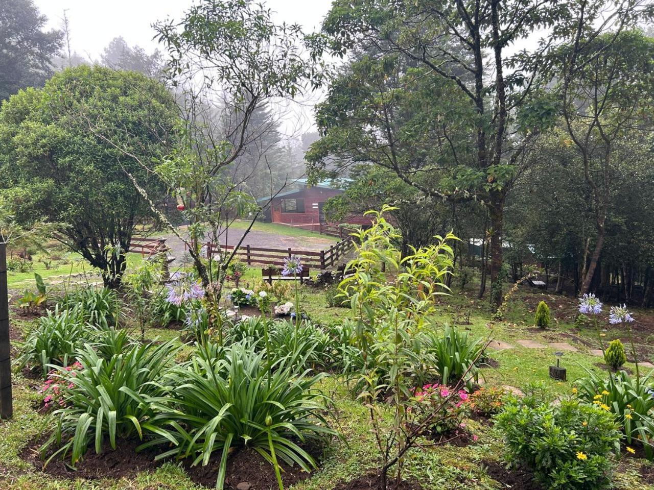 Curuba Lodge Copey Exterior foto