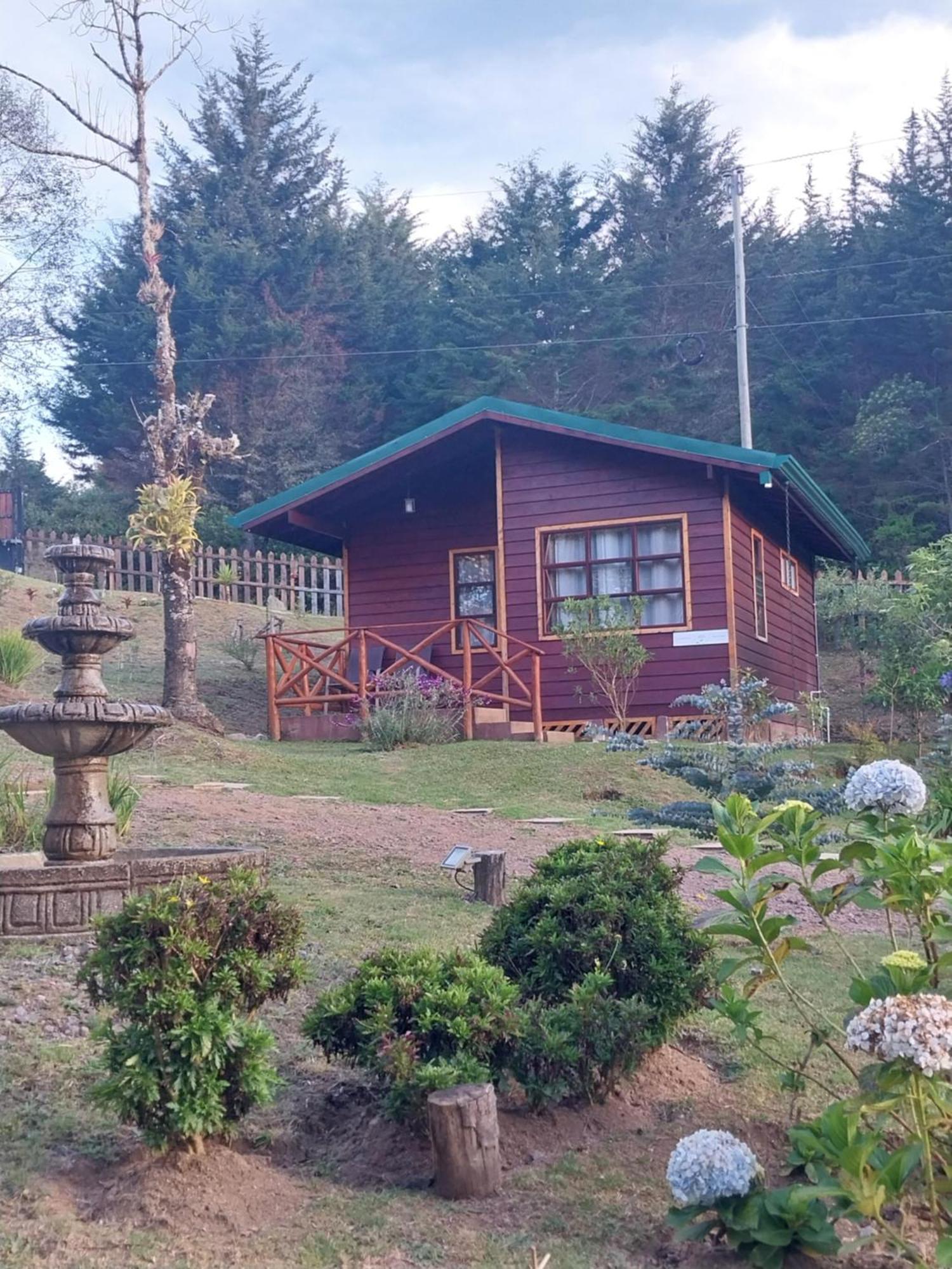 Curuba Lodge Copey Exterior foto